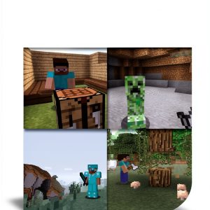 21st Century Skills Innovation Library: Unofficial Guides for Kids-0
