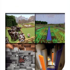 21st Century Skills Innovation Library: Unofficial Guides for Kids-0